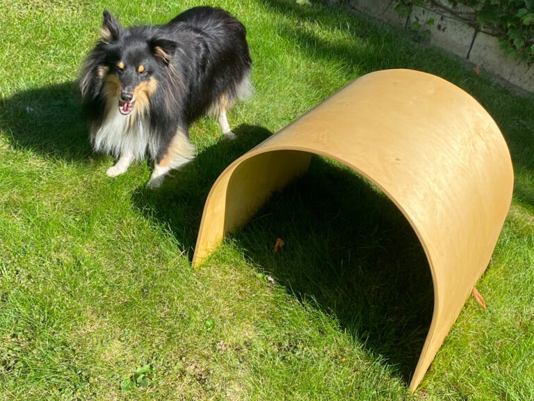 showcase-shelter4